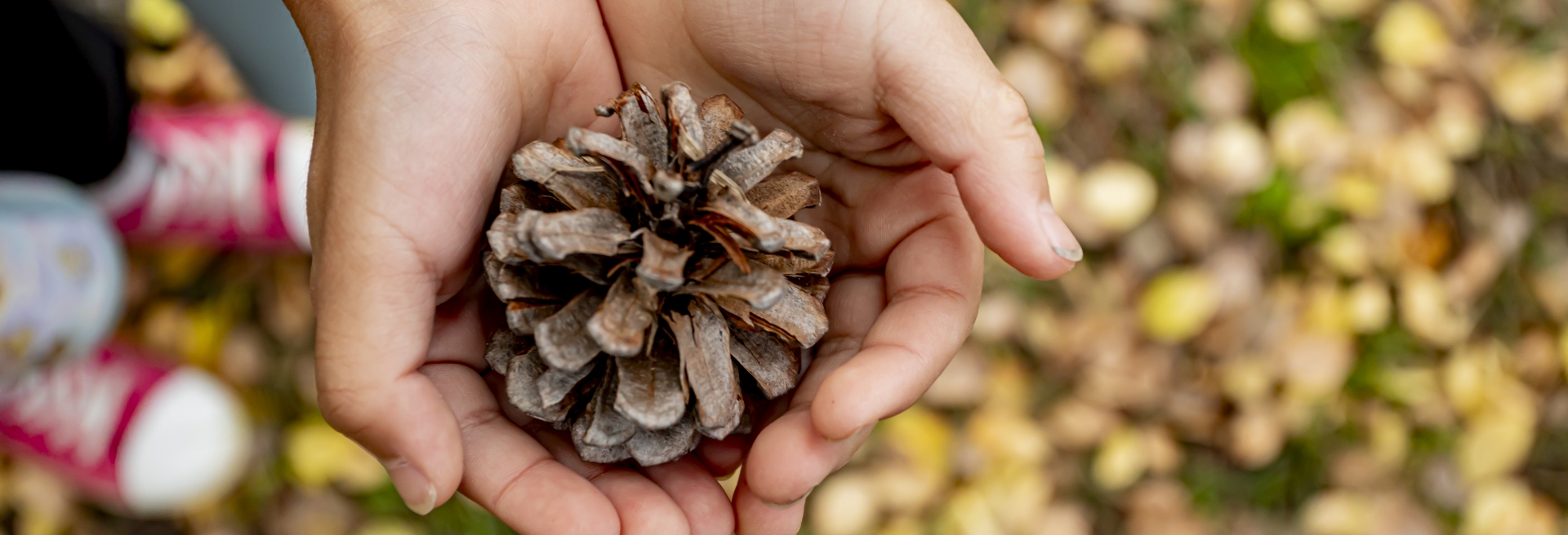 八瀬わらべっこ広場